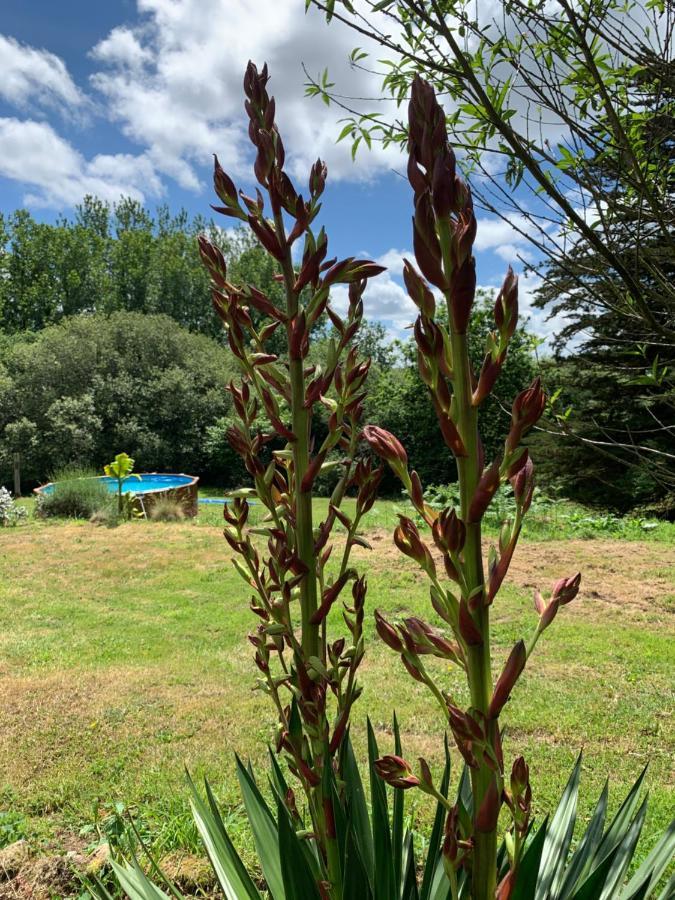 Plounerin Domaine De La Blanche Hermine מראה חיצוני תמונה